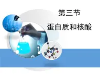 人教版 (新課標(biāo))高中化學(xué) 選修5 4-3《蛋白質(zhì)和核酸》課件