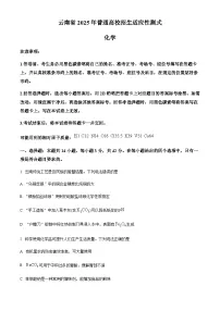 云南省2025年普通高校招生适应性测式(八省联考)化学试题(含解析)