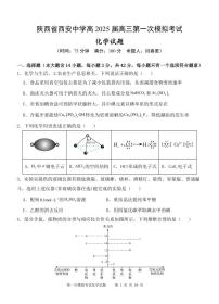 陕西省西安中学2025届高三下学期第一次模拟考试化学
