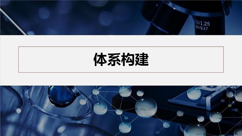 第二章 体系构建 高考体验第4页