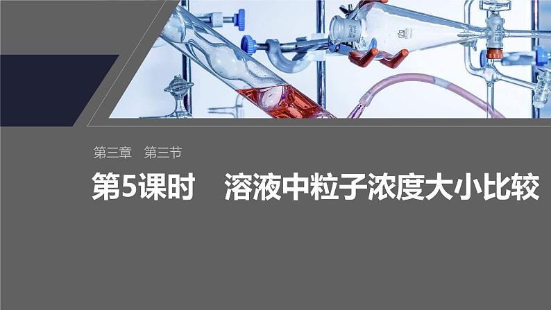 第三章 第三节 第5课时 溶液中粒子浓度大小比较第2页