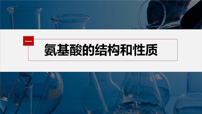第四章 第二节 蛋白质第5页
