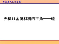 人教版 (新課標(biāo))高中化學(xué)必修1 4-1《無機(jī)非金屬材料的主角——硅》第一課時(shí)課件
