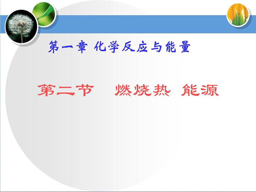 人教版 (新課標(biāo))高中化學(xué)選修4 1-2《燃燒熱__能源》課件第1頁