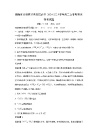 湖南省炎德英才名校联合体2024-2025学年高二上学期期末联考化学试题（解析版）