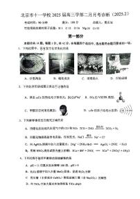 2025北京十一学校高三2月月考化学试卷及答案