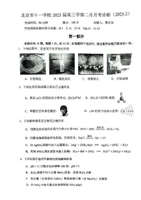 2025北京十一学校高三2月月考化学试卷及答案