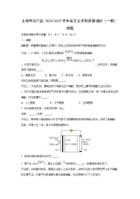 上海市闵行区2024-2025学年高三上学期质量调研（一模）化学试题（解析版）
