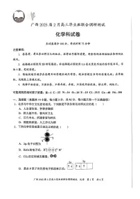 广西部分学校2025届高三下学期2月联考化学试题+答案