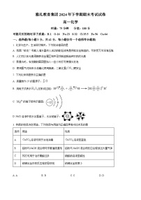 湖南省长沙市雅礼教育集团2024-2025学年高一上学期期末考试化学试题（含答案）