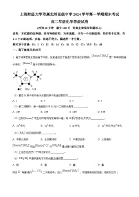 上海财经大学附属北郊高级中学2024-2025学年高二上学期期末考试化学等级试卷（含答案）