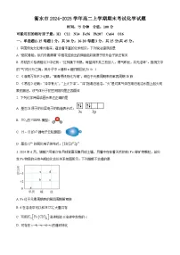 河北省衡水市2024-2025学年高二上学期期末化学试题（含答案）
