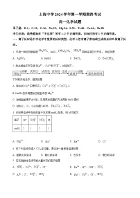 上海市上海中学2024-2025学年高一上学期期终考试化学试题（含答案）
