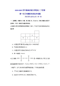 海南省部分学校2024-2025学年高二下学期第一次月考模拟考试 化学试题（含解析）