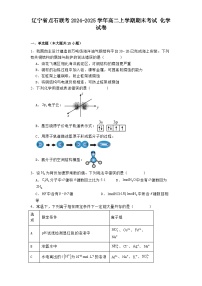 辽宁省点石联考2024-2025学年高二上学期期末考试 化学试卷【含答案】