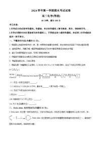 上海市大同中学2024-2025学年高二上学期期末考试 化学试题(原卷版+解析版)