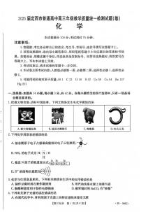 甘肃省定西市2024-2025学年高三上学期1月期末化学试卷（图片版，含答案）