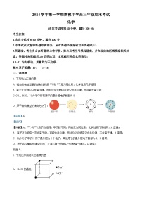 上海市南洋模范中学2024-2025学年高三上学期期末考试 化学试卷（解析版）