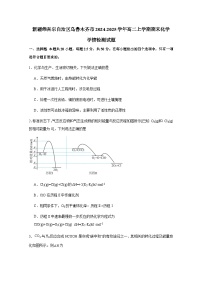 新疆維吾爾自治區(qū)烏魯木齊市2024-2025學(xué)年高二上冊(cè)期末化學(xué)學(xué)情檢測(cè)試題（附答案）