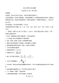 湖南省部分校联考2024-2025学年高三下学期3月联考化学试卷（Word版附解析）