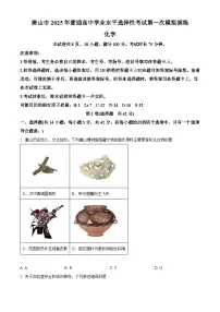 河北省唐山市2024-2025学年高三下学期一模化学试题(含答案)