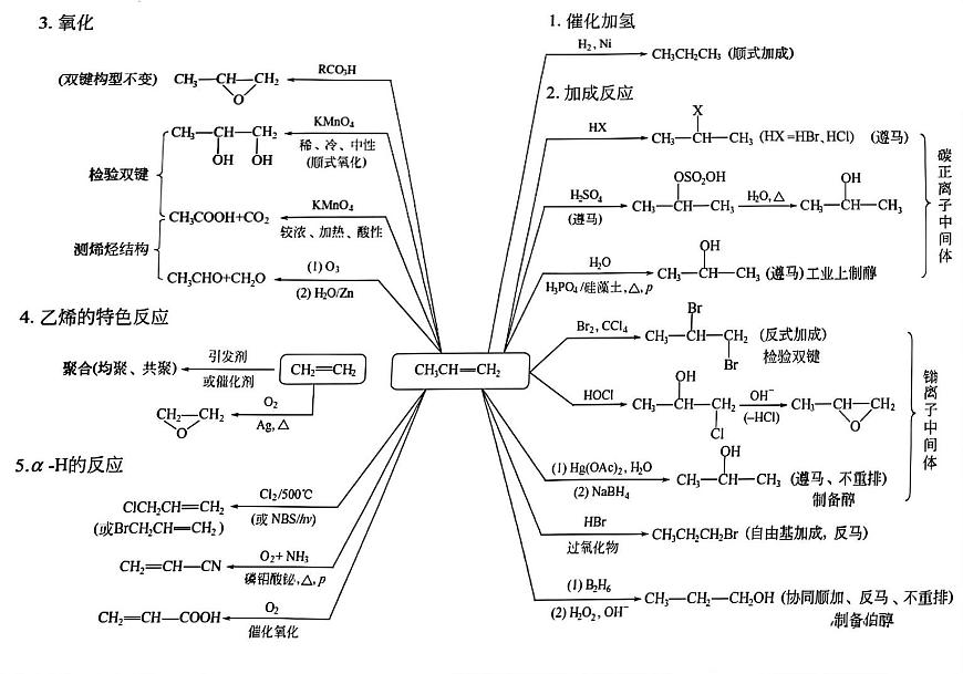 高中化學(xué)二輪復(fù)習(xí) 有機(jī)化學(xué)最強(qiáng)最全專題總結(jié)  教案（清晰版）第1頁(yè)