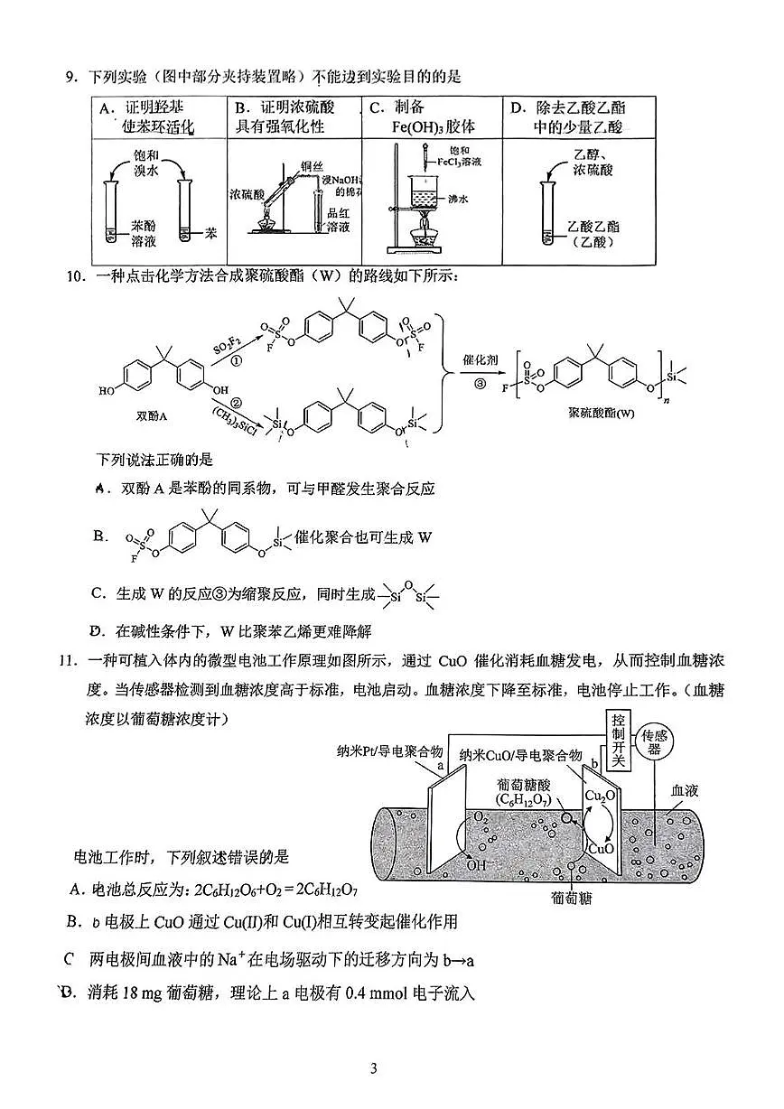 北京人大附中朝阳学校2024-2025学年高三下学期第12次统练化学试卷(PDF版,含答案)第3页
