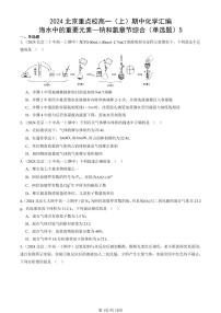 2024北京重点校高一（上）期中真题化学汇编：海水中的重要元素—钠和氯章节综合（单选题）5