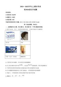 重庆市主城七校联考2024-2025学年高二上学期期末考试 化学试题（含答案）