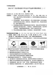 2025届广东省高三一模化学试题+答案