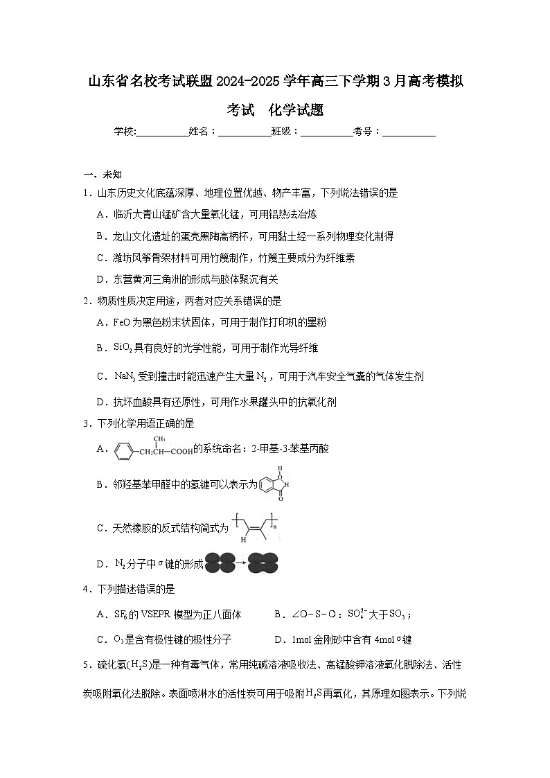 山东省名校考试联盟2024-2025学年高三下学期3月高考模拟考试化学试题(无答案)第1页