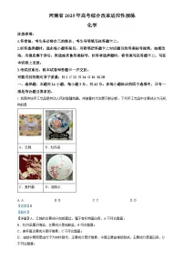 2025年1月河南省普通高等学校招生考试适应性测试(八省联考)化学试题Word版含解析