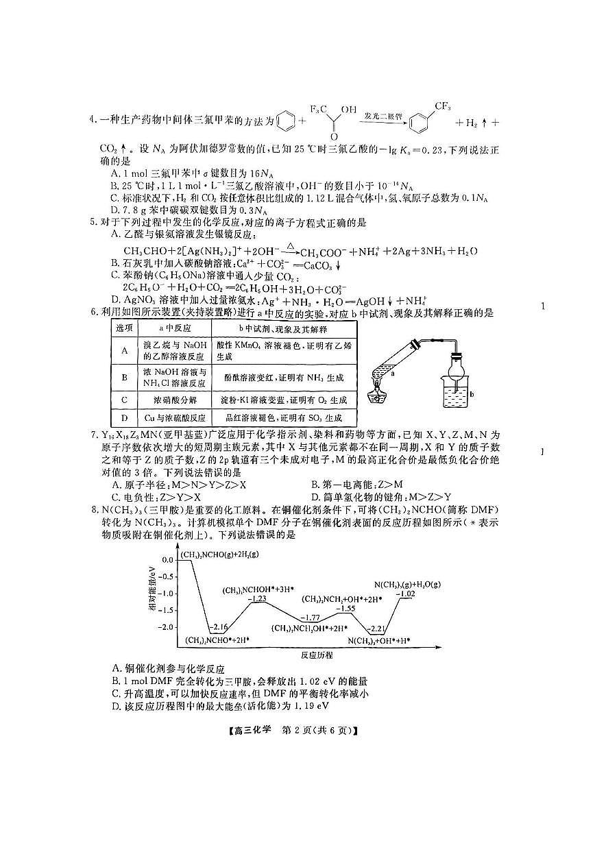 2025年金科高三下学期3月化学试题及答案第2页