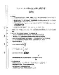 湖北省黄冈市2025届高三下学期核心预测卷化学试题+答案