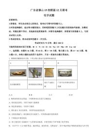 2024届广东省佛山市15校联盟高三上(1月月考)-化学试题（含答案）