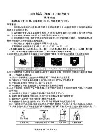 2024届广东省高三上(11月)联考试卷-化学试题（含答案）