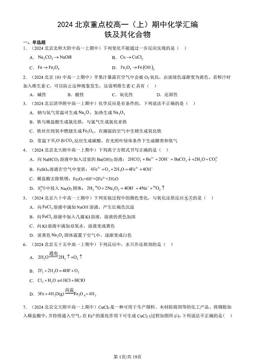 2024北京重点校高一(上)期中真题化学汇编:铁及其化合物第1页