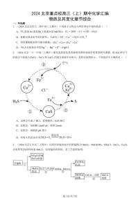 2024北京重点校高三（上）期中真题化学汇编：物质及其变化章节综合