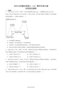 2024北京重点校高二（上）期中真题化学汇编：化学反应速率