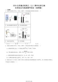 2024北京重点校高三（上）期中真题化学汇编：化学反应与电能章节综合（选择题）