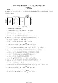 2024北京重点校高三（上）期中真题化学汇编：电解池