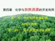 人教版(新課標(biāo)) 高中化學(xué) 必修2 4-1-2《海水資源的開(kāi)發(fā)利用》課件