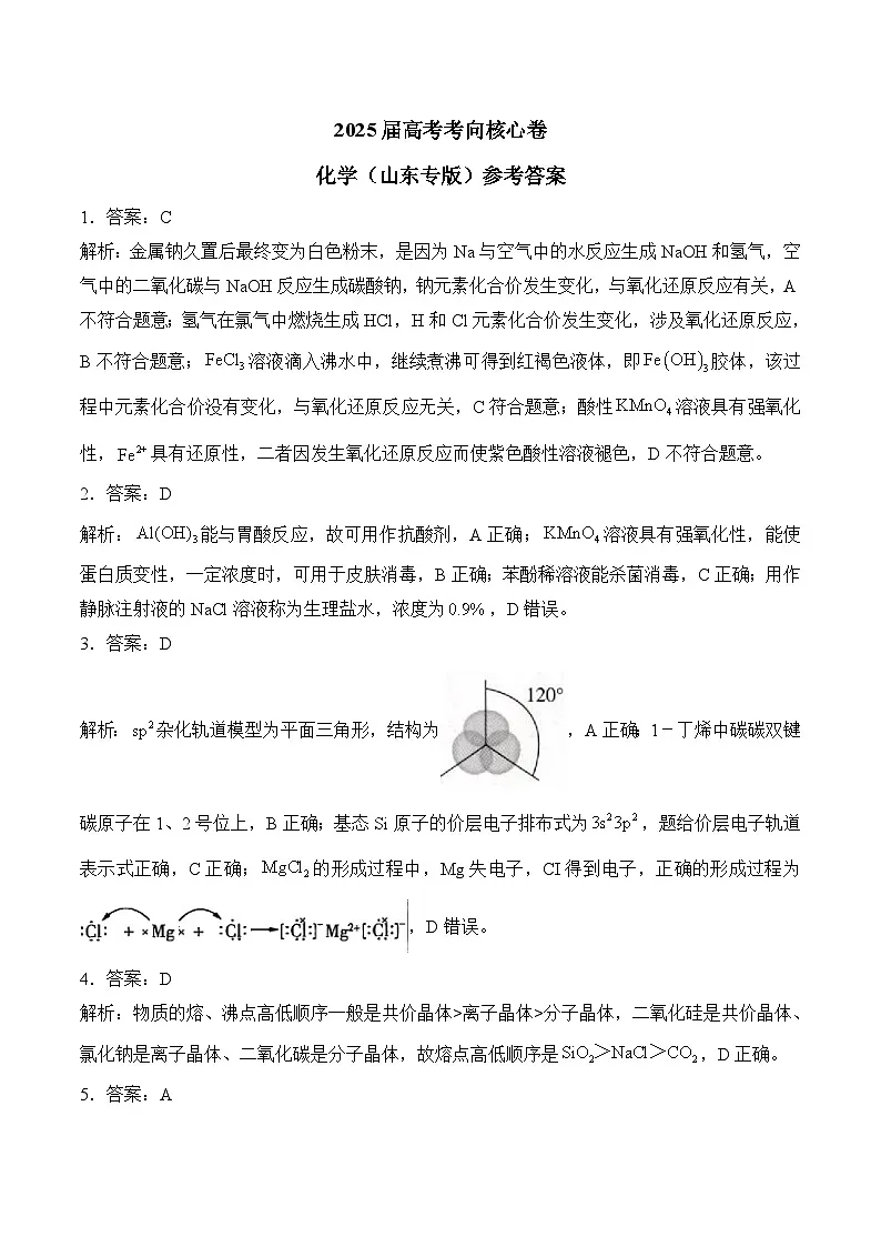 2025届高考化学考向核心卷 山东专版2 参考答案第1页