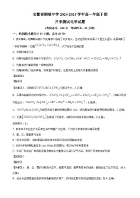 安徽省桐城中学2024-2025学年高一下学期开学测试 化学试题(含解析)