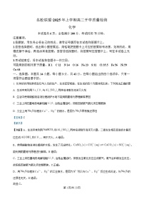 湖南省名校联盟2024-2025学年高二下学期开学质量检测 化学试题 Word版含解析