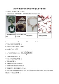 黑龙江省齐齐哈尔市2025届高三下学期一模化学试卷 含解析
