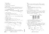 2024届河北衡中同卷上学期高三年级期中考试（12月）-化学试题（含答案）