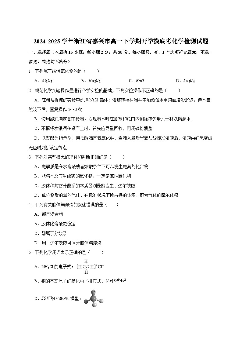 2024-2025學(xué)年浙江省嘉興市高一下冊(cè)開(kāi)學(xué)摸底考化學(xué)檢測(cè)試題（附答案）第1頁(yè)