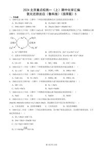 2024北京重點(diǎn)校高一（上）期中真題化學(xué)匯編：氧化還原反應(yīng)（魯科版）（選擇題）5