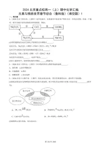 2024北京重点校高一(上)期中真题化学汇编:元素与物质世界章节综合(鲁科版)(填空题)1